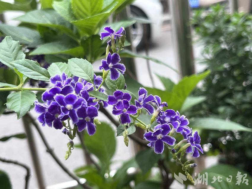 blg008百利宫